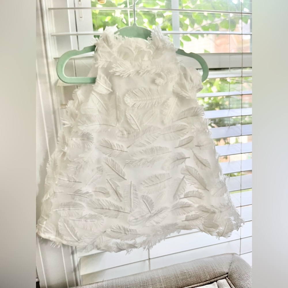 EUC Janie and Jack feather a-line baby dress